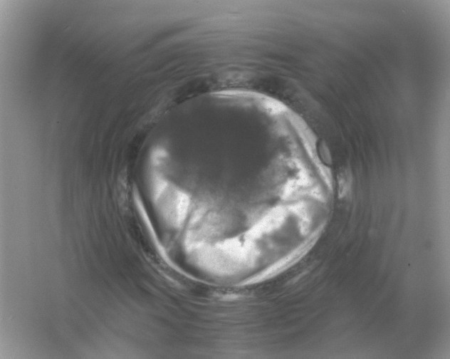 X0000065981011200603311859