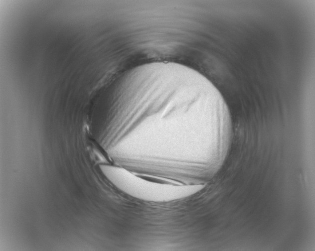 X0000065981012200603311859