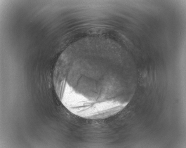 X0000065981013200603311859