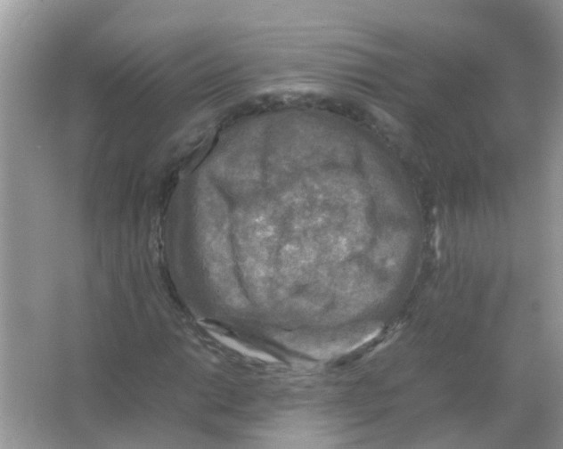 X0000065981014200603311859