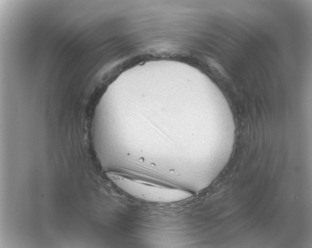 X0000065981016200603311859