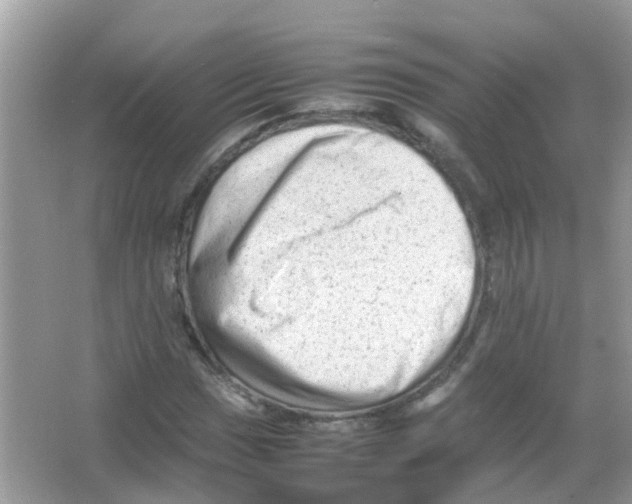 X0000065981017200603311859