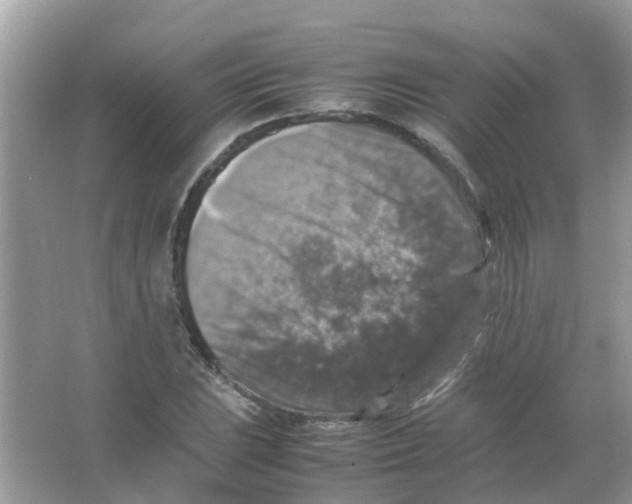 X0000065981023200603311859