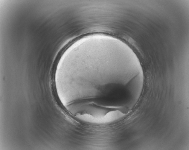 X0000065981024200603311859