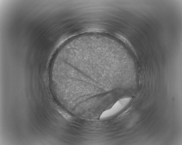 X0000065981027200603311859