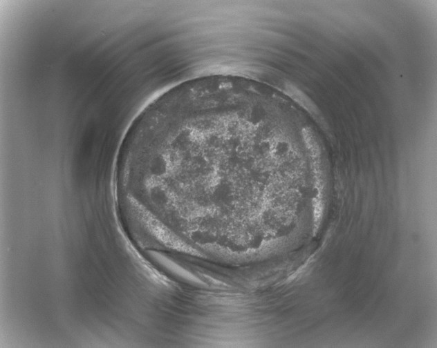 X0000065981028200603311859