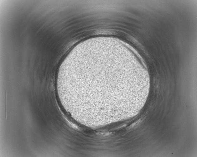 X0000065981033200603311859