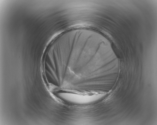 X0000065981034200603311859