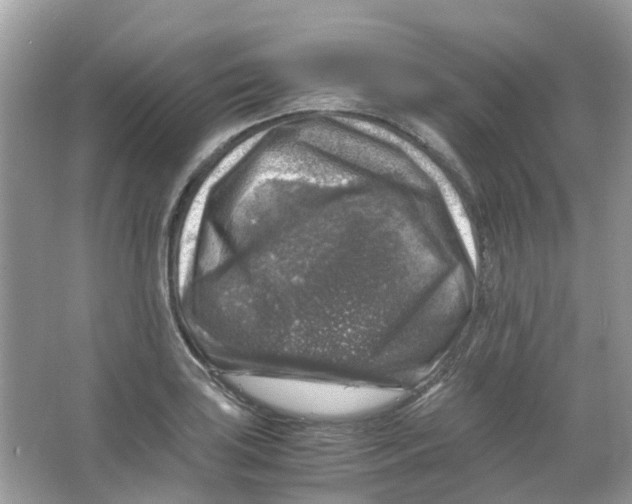 X0000065981035200603311859