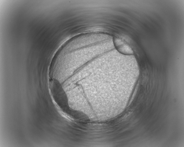 X0000065981039200603311859