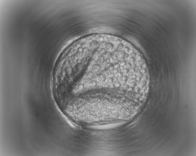 X0000065981040200603311859