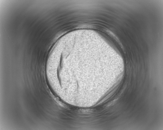 X0000065981041200603311859