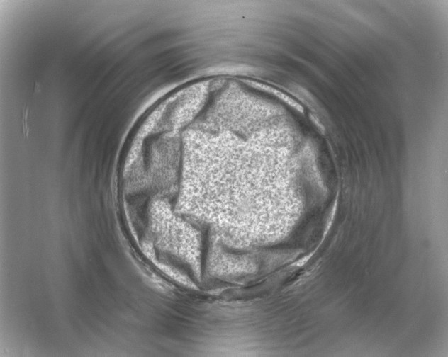 X0000065981044200603311859