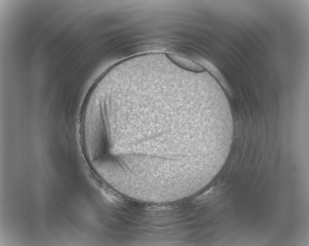 X0000065981051200603311859