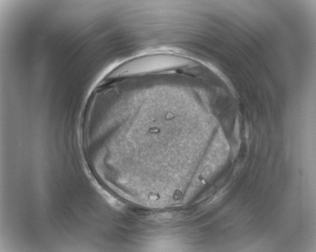 X0000065981054200603311900