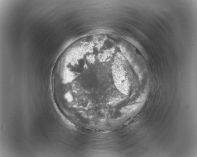 X0000065981055200603311900