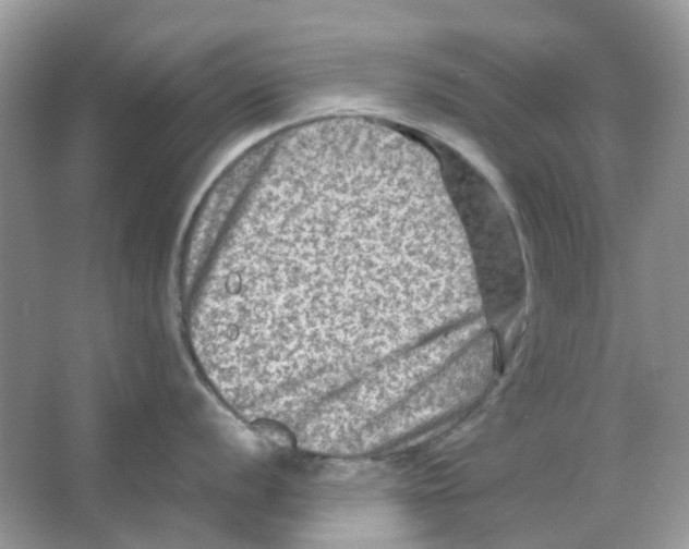 X0000065981056200603311900