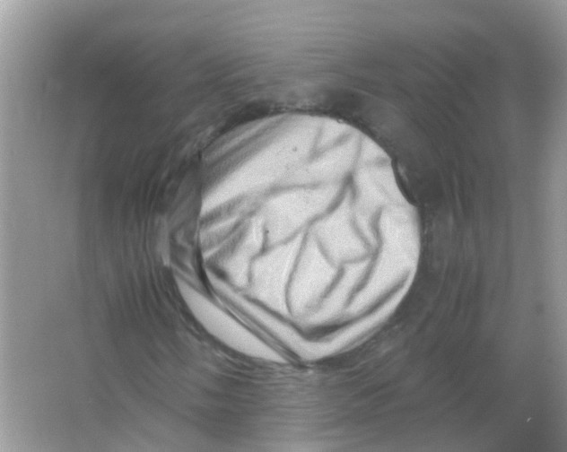 X0000065981058200603311859