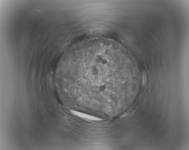 X0000065981059200603311859