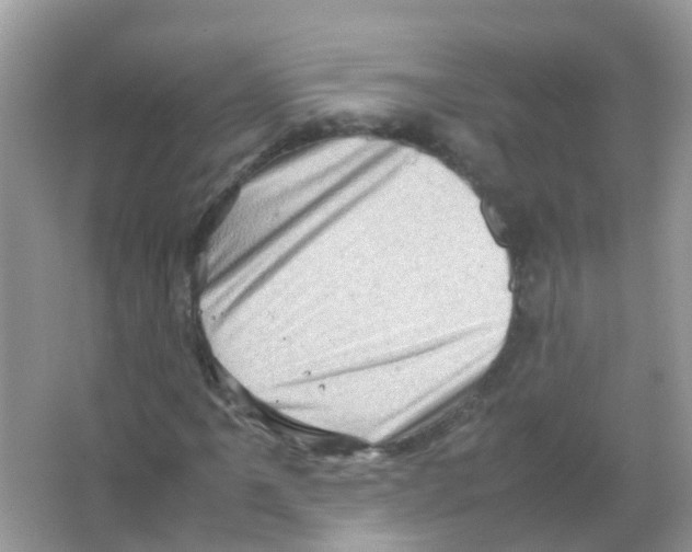 X0000065981061200603311859