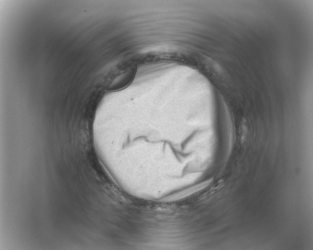 X0000065981062200603311859