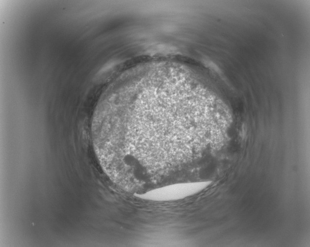 X0000065981063200603311859