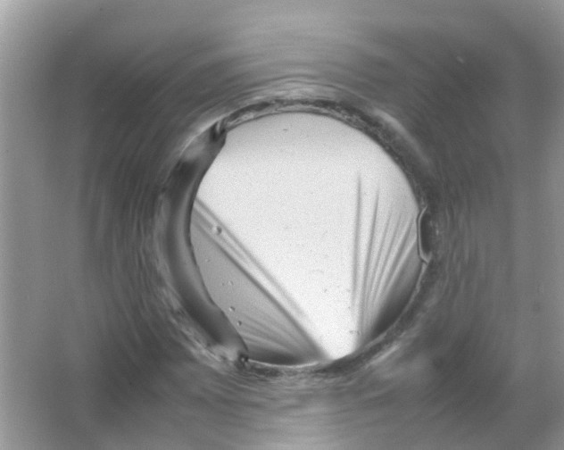 X0000065981065200603311859