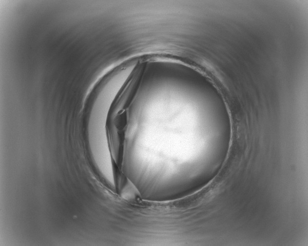 X0000065981069200603311859