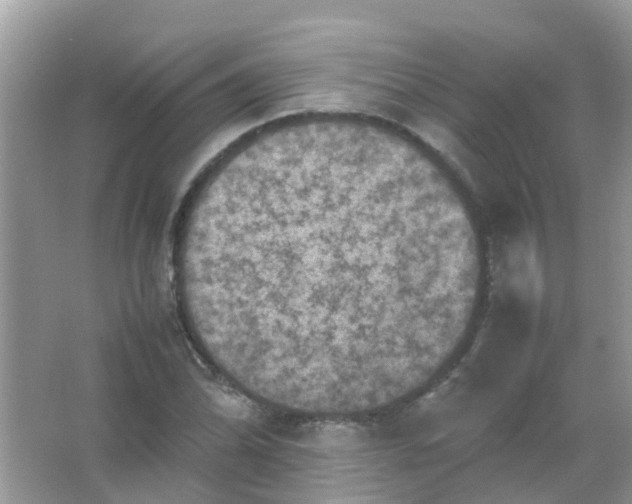 X0000065981070200603311859