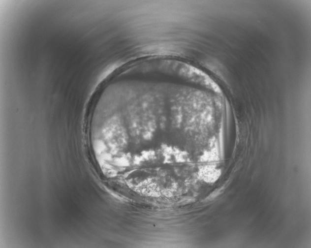 X0000065981071200603311859