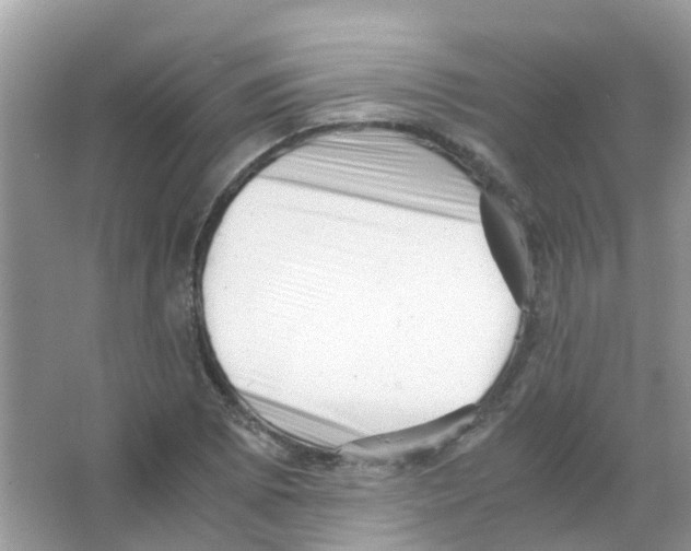 X0000065981073200603311858