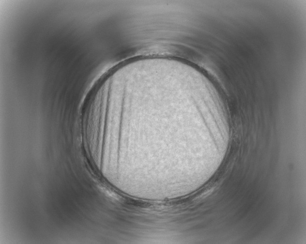 X0000065981075200603311858