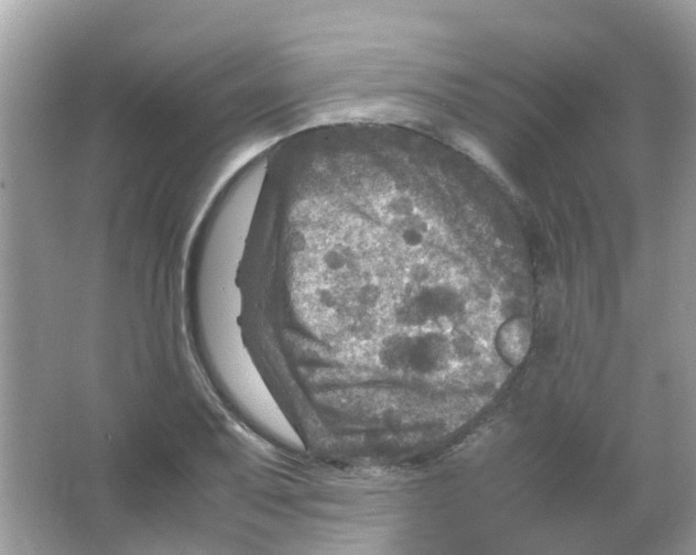 X0000065981079200603311858