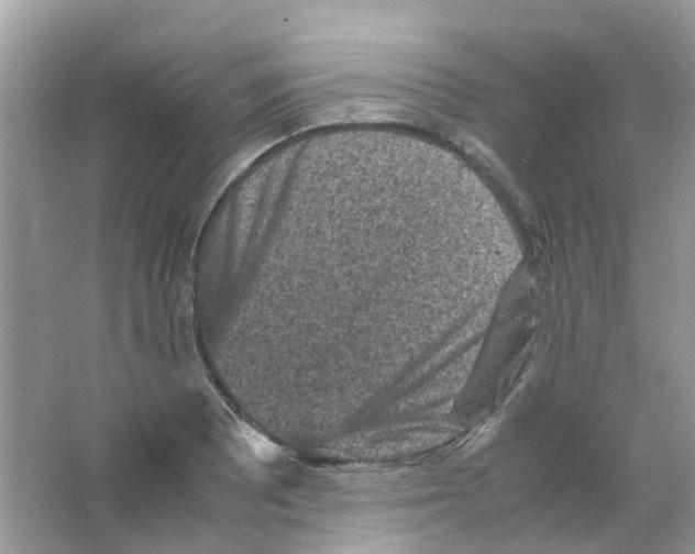 X0000065981081200603311858