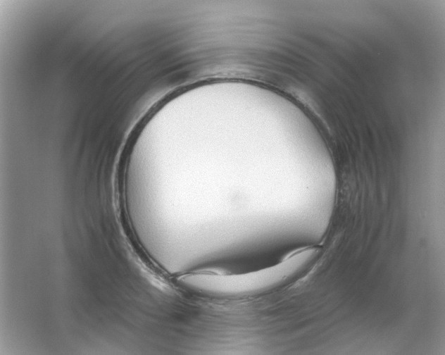 X0000065981082200603311858