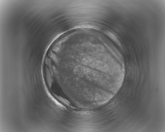 X0000065981084200603311858