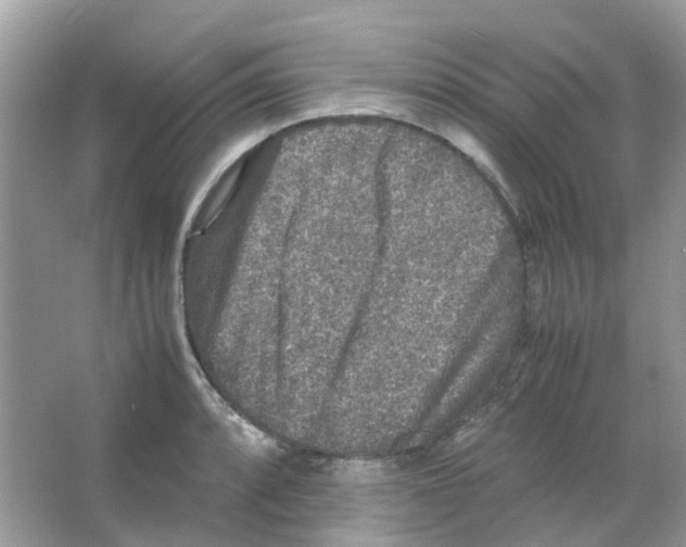 X0000065981088200603311858