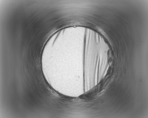 X0000065981089200603311858