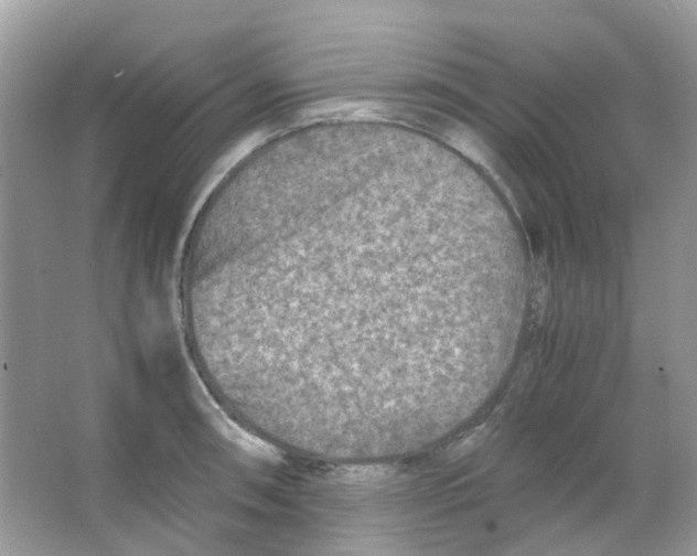 X0000065981090200603311858