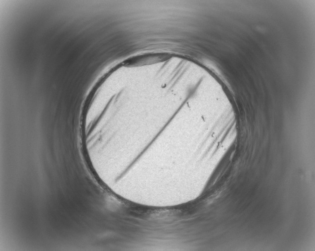 X0000065981093200603311858