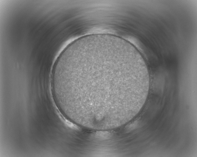 X0000065981094200603311858