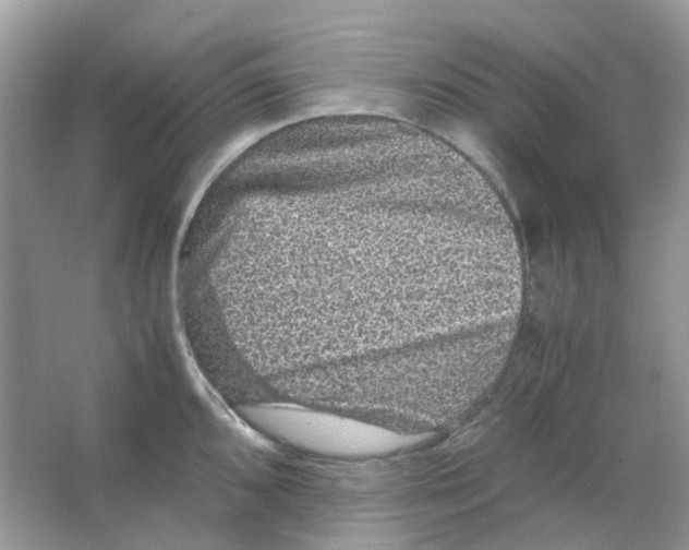 X0000065981096200603311858