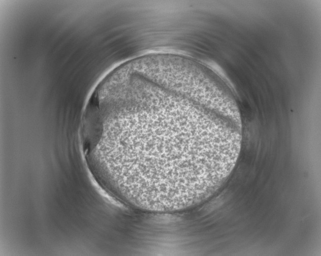 X0000065981100200603311858