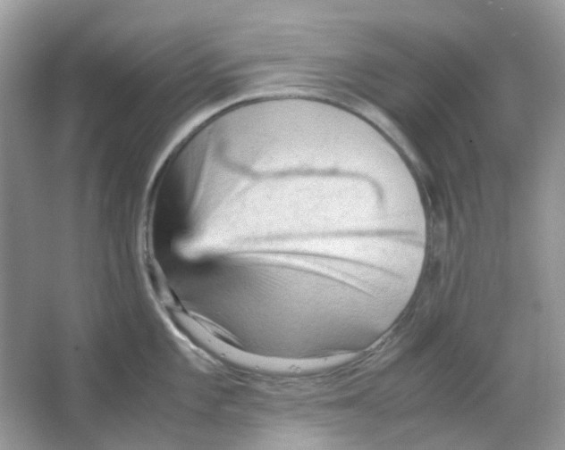 X0000065981101200603311858