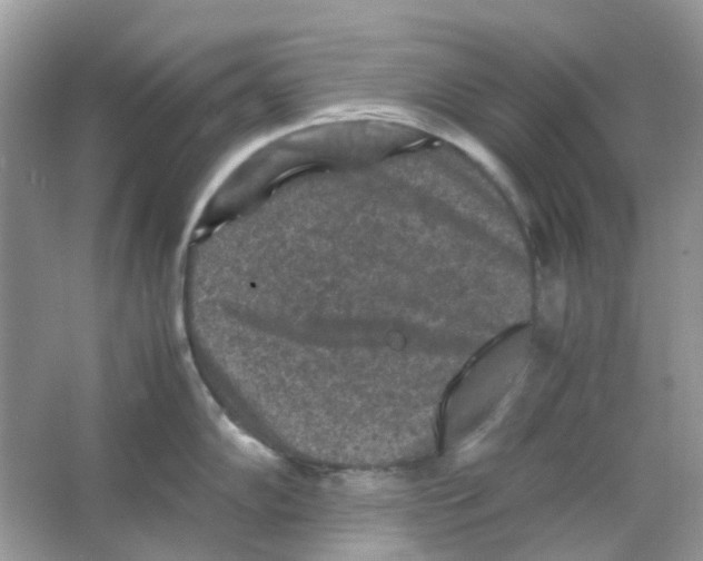 X0000065981102200603311858