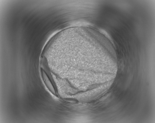 X0000065981103200603311858