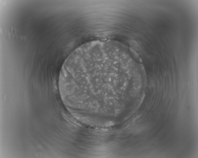 X0000065981106200603311857