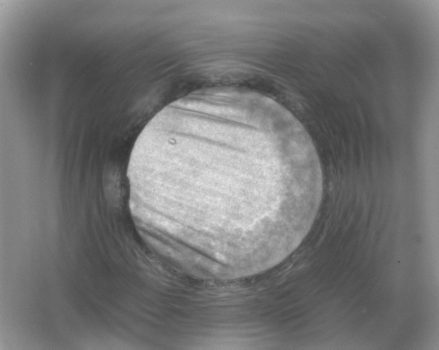 X0000065981108200603311857