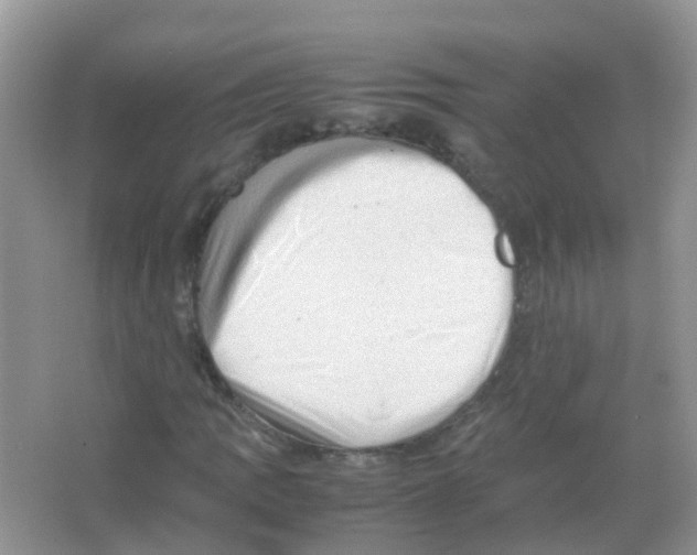 X0000065981109200603311857