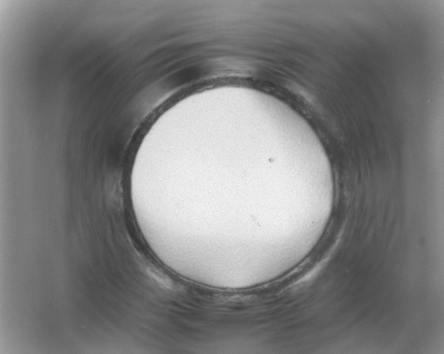 X0000065981113200603311857